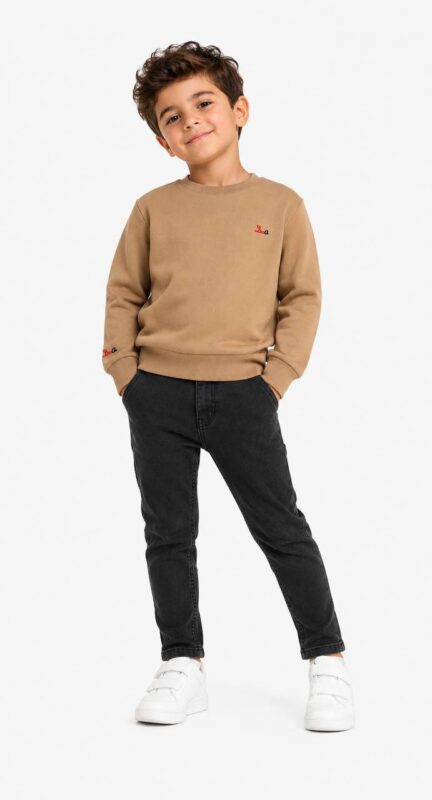 Boys' embroidered Milton sweatshirt